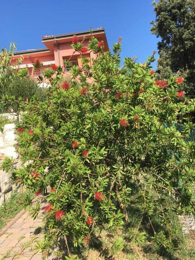 Studio Kampor Dış mekan fotoğraf
